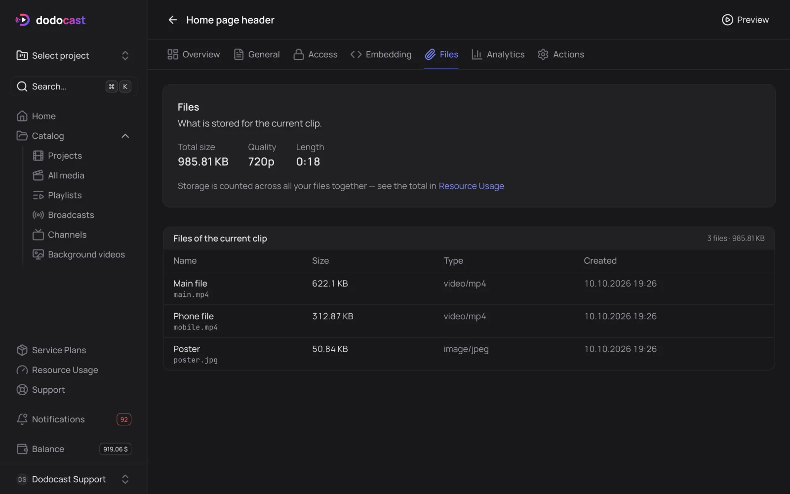 The Files tab