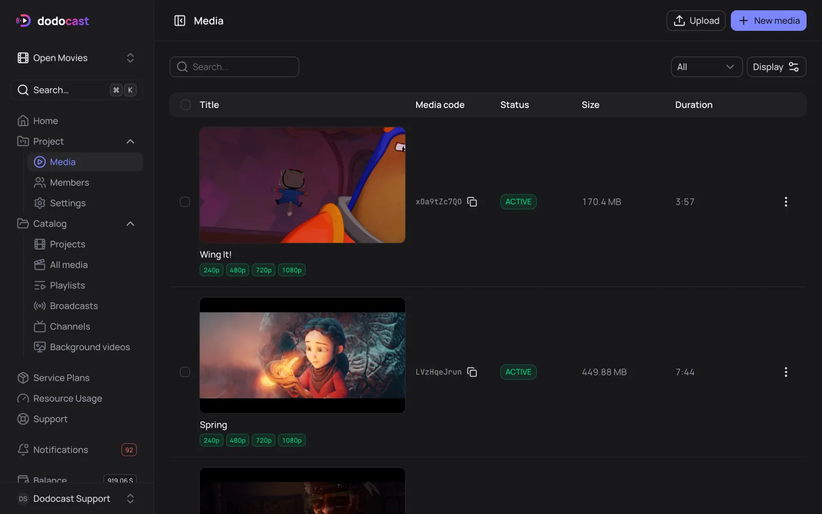 A project and its media